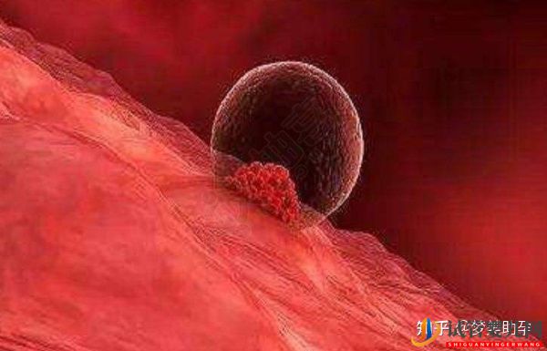 多次試管失敗,赴美試管成功率如何-夢(mèng)美(試管嬰兒多少錢)(圖16) 多次試管失敗,赴美試管成功率如何(圖8)