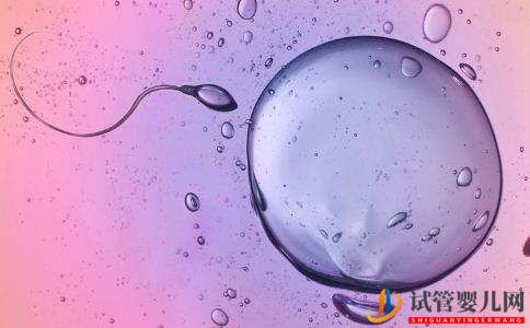 人工授精和試管嬰兒適應(yīng)癥的不同(試管嬰兒費(fèi)用大概要多少錢)(圖2) 人工授精和試管嬰兒適應(yīng)癥的不同(圖1)