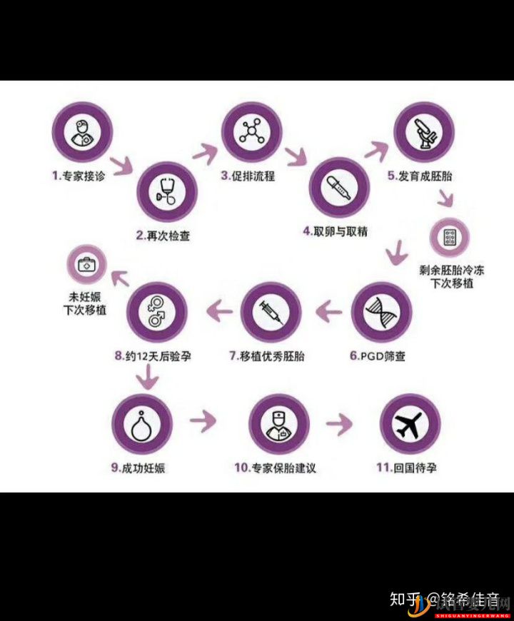 泰國試管嬰兒70%的成功率,是運氣還是實力(圖1)