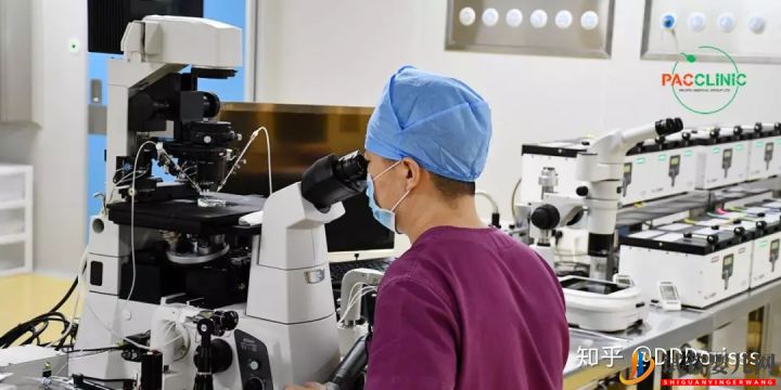 泰國試管嬰兒VS國內試管嬰兒大比拼(圖10)