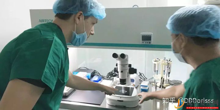 泰國試管嬰兒VS國內試管嬰兒大比拼(圖11)