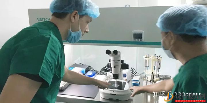 泰國試管嬰兒VS國內試管嬰兒大比拼(圖12)