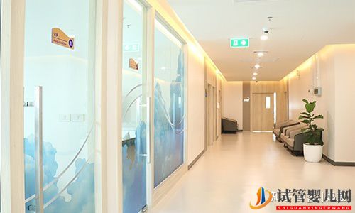 泰國試管嬰兒步驟用到哪些技術(圖3)