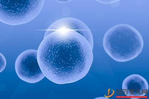 促排卵真的那么恐怖嗎？為什么還會(huì)有那么多人做試管嬰兒(圖1)