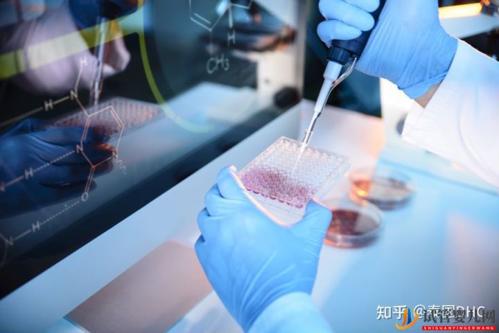 泰國試管嬰兒單身女性合法嗎(圖6)