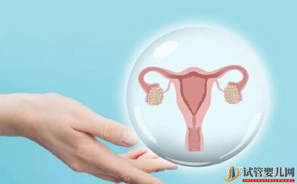 國外做第三代試管嬰兒的成功率比國內高終于有答案(圖3)