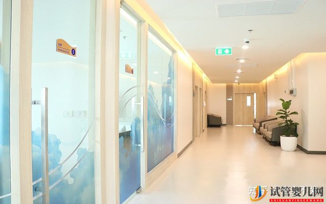 泰國試管嬰兒適應人群有哪些什么人不適合做(圖4)