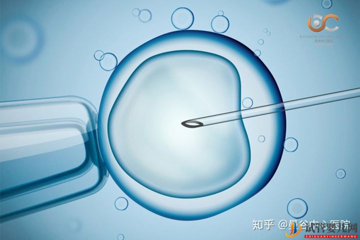 泰國試管嬰兒體外受精術步驟解讀(圖2)