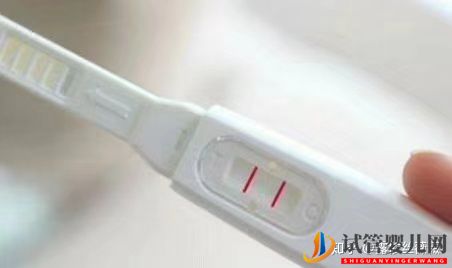 泰國試管嬰兒心路歷程(圖2) 泰國試管嬰兒心路歷程(圖2)