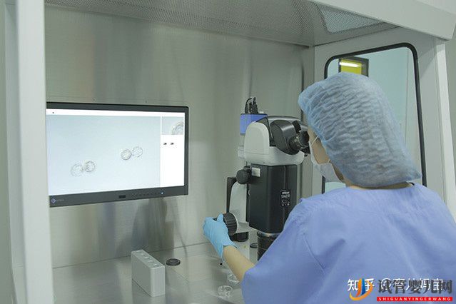 泰國(guó)試管嬰兒移植正規(guī)嗎(圖1)