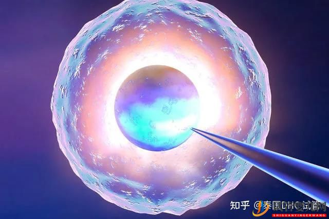 泰國試管嬰兒優勢有哪些全面解析來啦!(圖2)