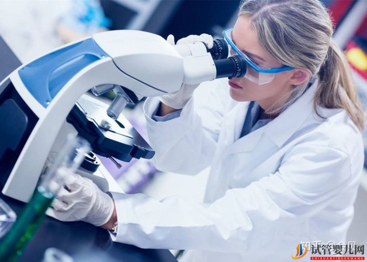 泰國試管真的好嗎？(圖2)