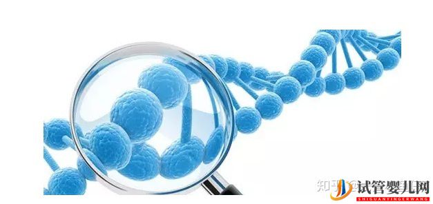 備受歡迎的泰國(guó)試管嬰兒,這四大技術(shù)優(yōu)勢(shì)你還不知道...(圖1) 備受歡迎的泰國(guó)試管嬰兒,這四大技術(shù)優(yōu)勢(shì)你還不知道(圖1)