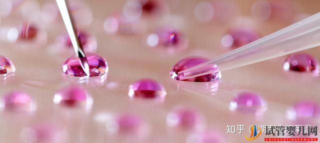 帶你解讀泰國試管嬰兒的方方面面(圖1) 帶你解讀泰國試管嬰兒的方方面面(圖1)