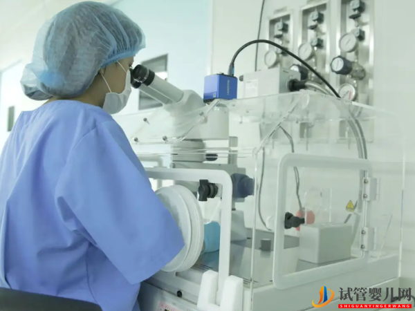 12個胚胎做三代能得多少個？看完其篩查通過率就知道了(圖1)