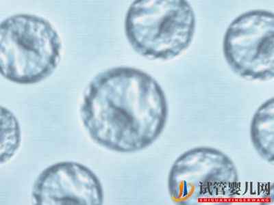 高齡做試管嬰兒成功概率多少(圖1)