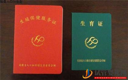 試管嬰兒需要準生證嗎？(圖1)