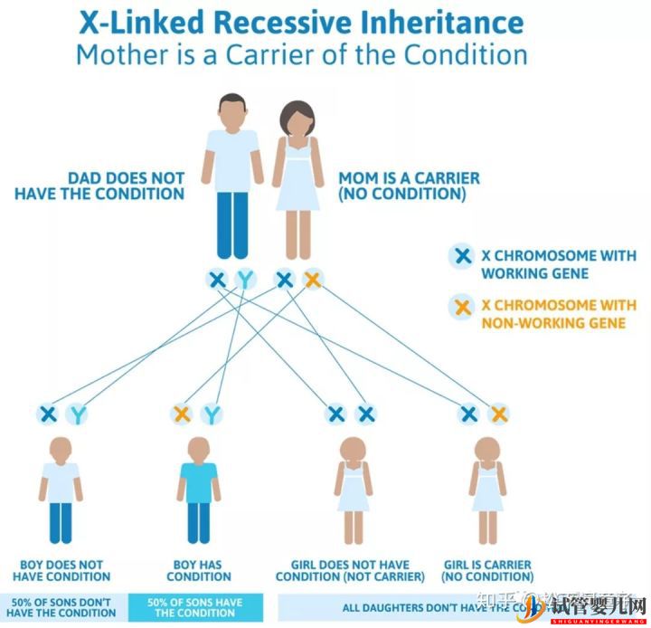 “傳男不傳女”的不一定是寶貝還有可能是遺傳疾病(圖2)