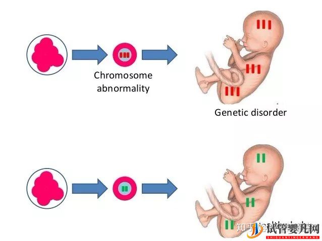 “傳男不傳女”的不一定是寶貝還有可能是遺傳疾病(圖4)