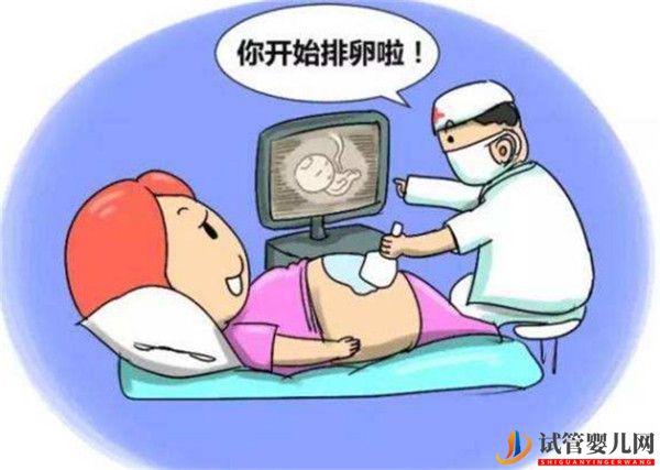 高齡女性通過試管嬰兒助孕監(jiān)測促排卵有哪些意義(試管嬰兒費(fèi)用大概要多少錢)(圖1) 高齡女性通過試管嬰兒助孕監(jiān)測促排卵有哪些意義(圖1)