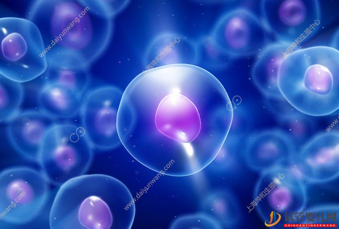 卵子干細(xì)胞試管嬰兒技術(shù)是何方神圣?中國(guó)有這項(xiàng)技術(shù)嗎?(試管嬰兒費(fèi)用大概要多少錢)(圖2) 卵子干細(xì)胞試管嬰兒技術(shù)是何方神圣?中國(guó)有這項(xiàng)技術(shù)嗎?(圖1)