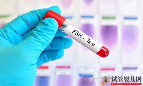 國內外第三代試管嬰兒的區別(圖4)