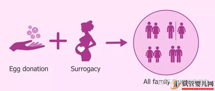 同性戀人赴美國試管嬰兒應(yīng)該做什么準(zhǔn)備(圖5)