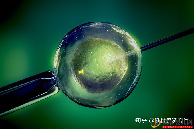 選擇泰國試管嬰兒的8大理由!(圖2) 選擇泰國試管嬰兒的8大理由!(圖2)