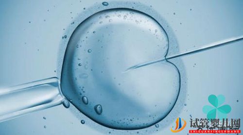 選擇去泰國做試管嬰兒,這三大謊言千萬不要相信!(圖1)