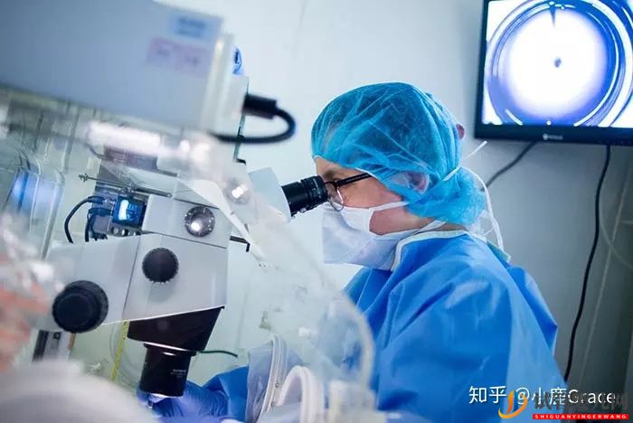 為什么她們更愿意去美國做試管嬰兒(圖2)