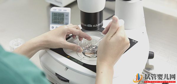 在泰國和國內做試管嬰兒,費用上有哪些差異(圖2)