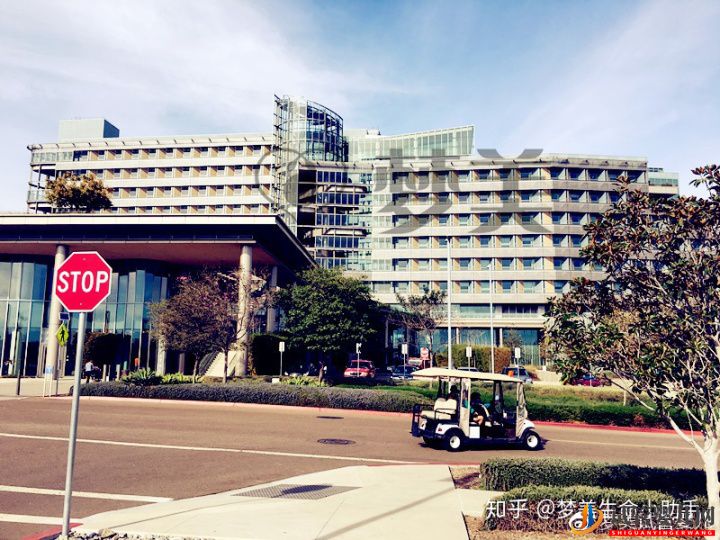 萬眾矚目美國試管公主健康誕生!-美國試管案例(圖1)