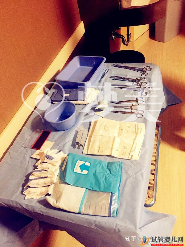 萬眾矚目美國試管公主健康誕生!-美國試管案例(圖4)