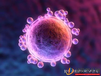 不看會后悔!五大優勢告訴你美國試管嬰兒為何倍受青睞(圖2)