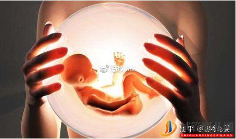 泰國試管為什么在國內這么受歡迎？(圖1)