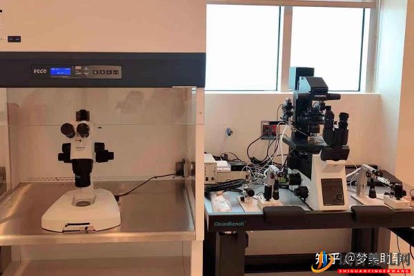 去美國做第三代試管嬰兒的價格高嗎(圖6)