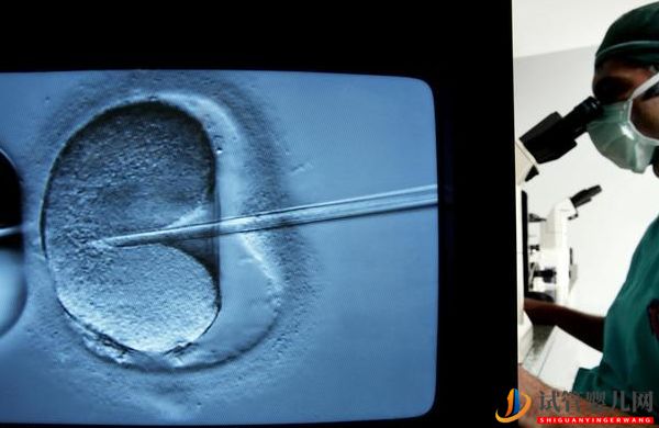 細數(shù)影響美國試管嬰兒成功率因素“知己知彼”選擇最...(試管嬰兒多少錢)(圖6) 細數(shù)影響美國試管嬰兒成功率因素“知己知彼”(圖3)