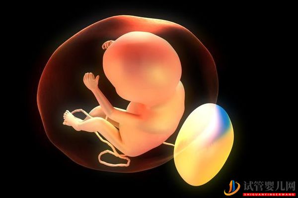 細數(shù)影響美國試管嬰兒成功率因素“知己知彼”選擇最...(試管嬰兒多少錢)(圖10) 細數(shù)影響美國試管嬰兒成功率因素“知己知彼”(圖6)