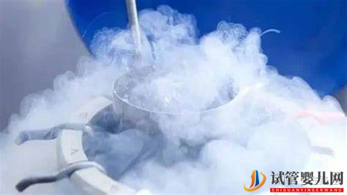 美國凍卵的成功率是多少一次冷凍多少顆(圖1)