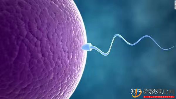 美國(guó)試管助孕可以挑選性別嗎(試管嬰兒多少錢)(圖1) 美國(guó)試管助孕可以挑選性別嗎(圖1)