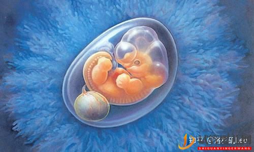 美國(guó)試管助孕可以挑選性別嗎(試管嬰兒多少錢)(圖3) 美國(guó)試管助孕可以挑選性別嗎(圖3)