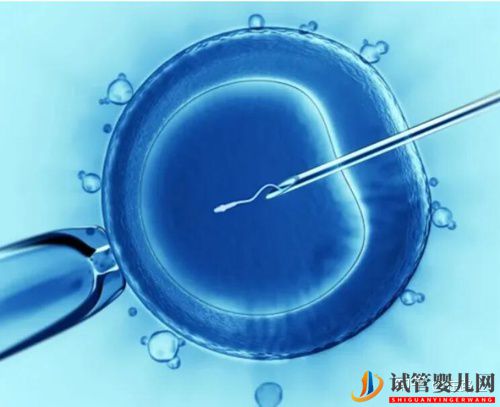 美國試管嬰兒“無囊胚可用”如何解決(圖2)