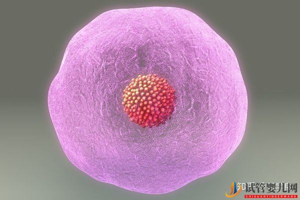 美國試管嬰兒專家疫情后,凍卵凍精需要被重視起來(圖3)