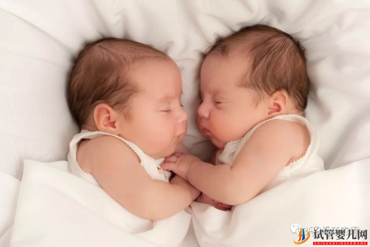 美國試管嬰兒雙胞胎你得具備這些條件!(圖1)