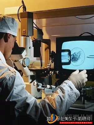 美國試管嬰兒各環節時間安排,整個流程需要多少天(圖6)