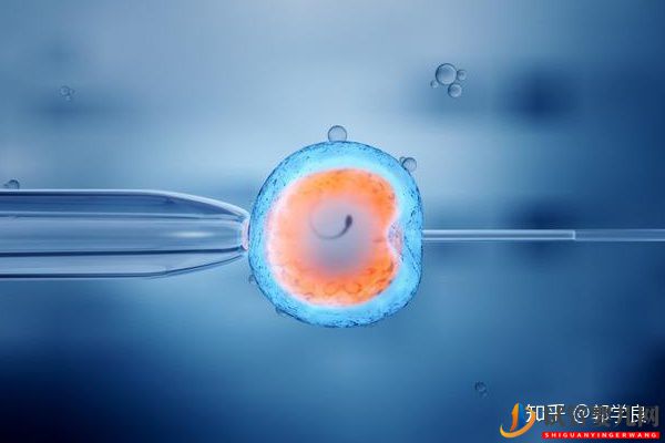 美國試管嬰兒技術正解-常見的4個問題解讀(圖1)