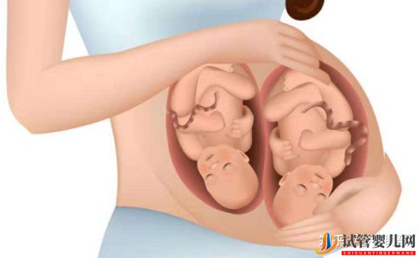 美國試管嬰兒技術生雙胞胎好不好(圖1)