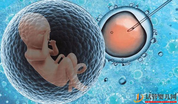 美國試管嬰兒技術生雙胞胎好不好(圖4)