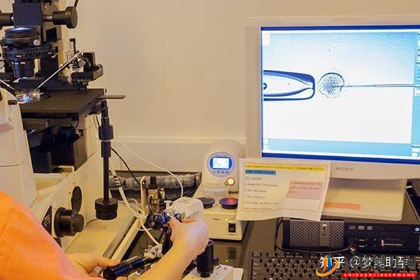 美國試管嬰兒技術生雙胞胎好不好(圖7)