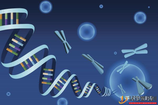 美國試管嬰兒技術生雙胞胎好不好(圖8)